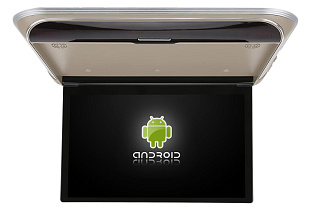 фото ER1750AN (бежевый)