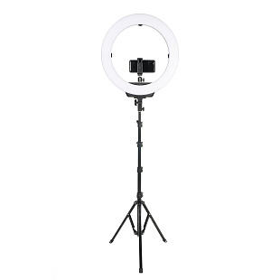 фото BeautyLight 480LS LED со стойкой