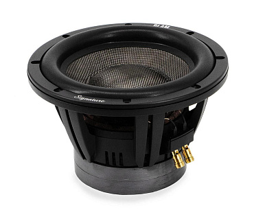 Сабвуферный динамик Blam SuperSub10 фото SuperSub10